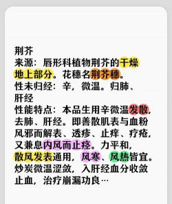 荆芥为什么能透疹