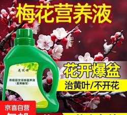 家庭养花用生根粉