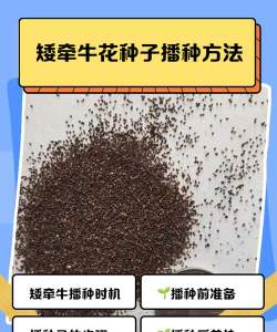 什么种子是靠播种呢