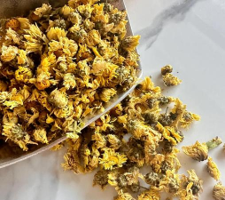 杭白菊如何醒花