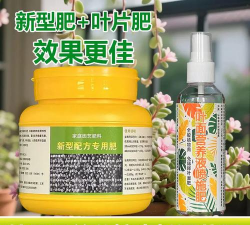 家庭养花用生根粉