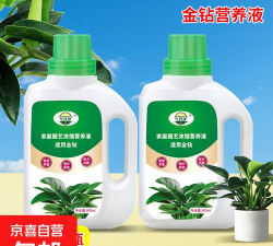 家庭养花用生根粉