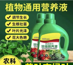 家庭养花用生根粉