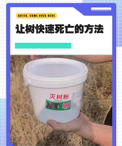 用什么可以把榕树死亡 用什么可以把榕树死亡