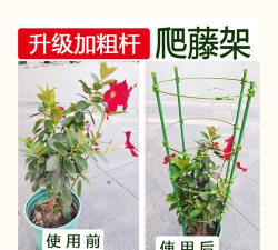 养花立柱撑杆