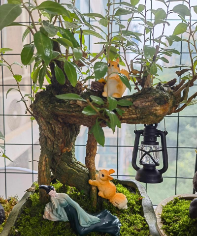 家庭养花用生根粉