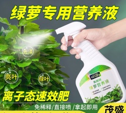 家庭养花用生根粉