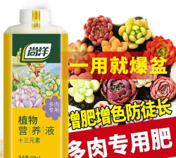 家庭养花用生根粉