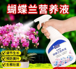 家庭养花用生根粉