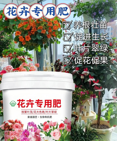 家庭养花用生根粉