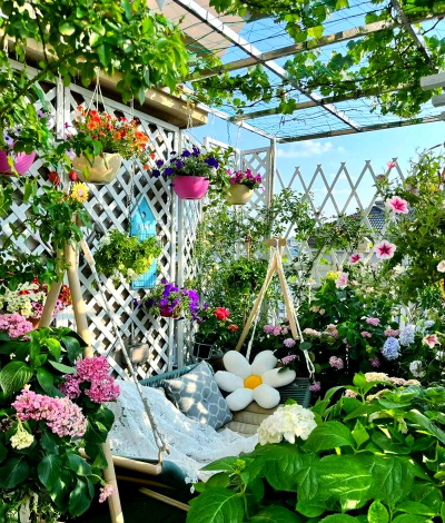 家庭养花用生根粉