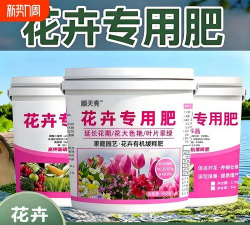 家庭养花用生根粉