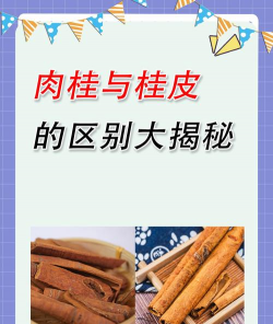 怎么识别肉桂与桂皮