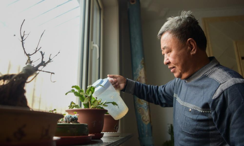 家庭养花用生根粉