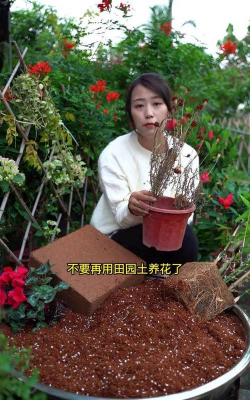 家庭养花用生根粉