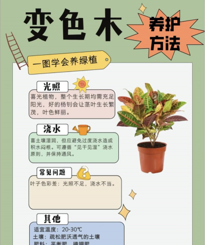 绿化景观设计，提升环境品质，创造宜人空间