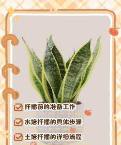 绿化景观设计，提升环境品质，创造宜人空间