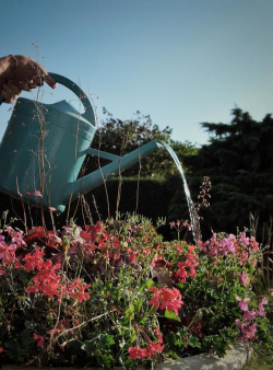 绿化景观设计，提升环境品质，创造宜人空间