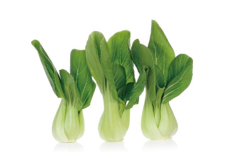 单个青菜长什么样子