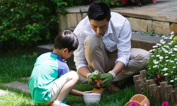 玫瑰花怎么养才不会枯萎，掌握浇水施肥技巧，轻松延长花期