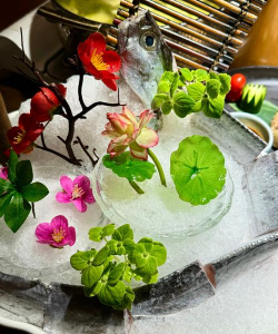 柿树虫病防治，识别常见虫害，掌握有效方法