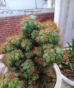 绿化景观设计，提升环境品质，创造宜人空间