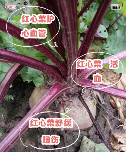 花菜红心不长怎么办