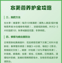 家庭养花用生根粉