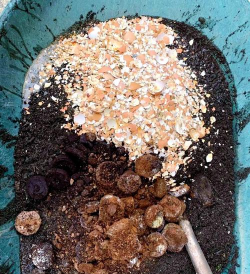 家庭养花用生根粉