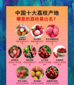 玫瑰花怎么养才不会枯萎，掌握浇水施肥技巧，轻松延长花期