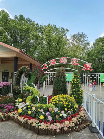 上海菊花展怎么走