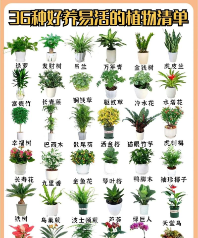 绿化景观设计，提升环境品质，创造宜人空间