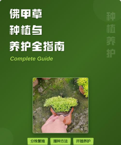 绿化景观设计，提升环境品质，创造宜人空间