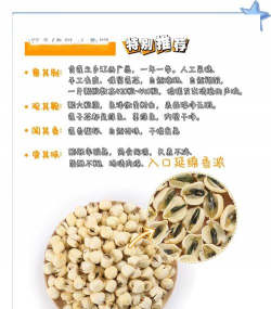 如何买莲花莲子