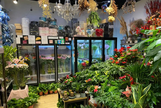 家庭养花用生根粉