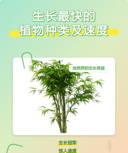 什么植物繁殖速度快