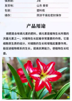 家庭养花用生根粉