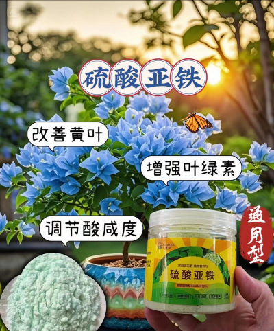 家庭养花用生根粉