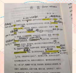 《养花》精备课