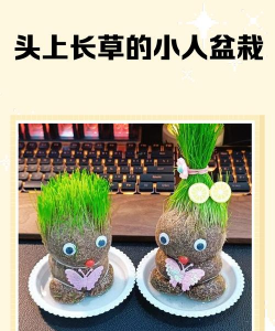 庭院景观绿化设计，打造舒适空间，提升生活品质