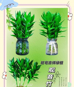 庭院景观绿化设计，打造舒适空间，提升生活品质