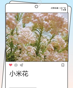 庭院景观绿化设计，打造舒适空间，提升生活品质