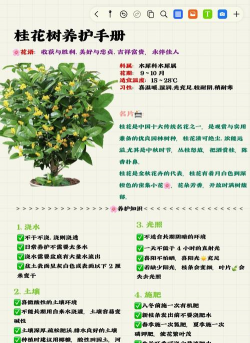 庭院景观绿化设计，打造舒适空间，提升生活品质