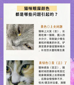 绿化景观设计，提升环境品质，创造宜人空间