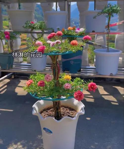 绿化景观设计，提升环境品质，创造宜人空间