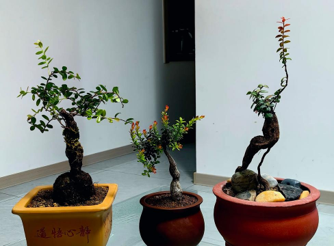 绿化景观设计，提升环境品质，创造宜人空间