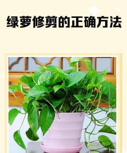 绿化景观设计，提升环境品质，创造宜人空间