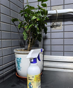 家庭养花用生根粉