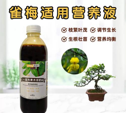 家庭养花用生根粉