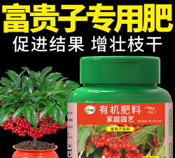 家庭养花用生根粉